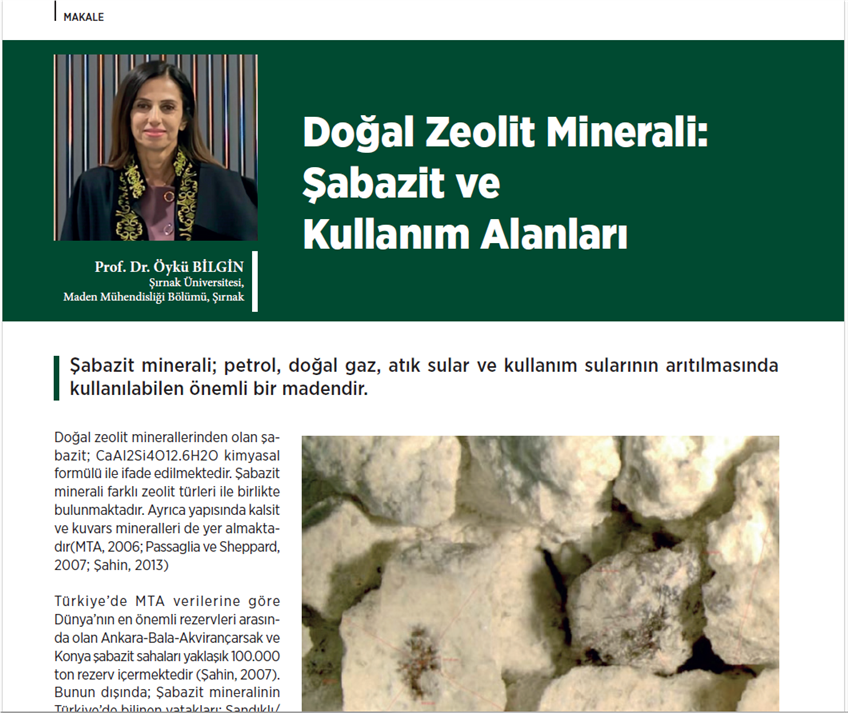 prof-dr-oyku-bilgin-in-makalesi-yayimlandi